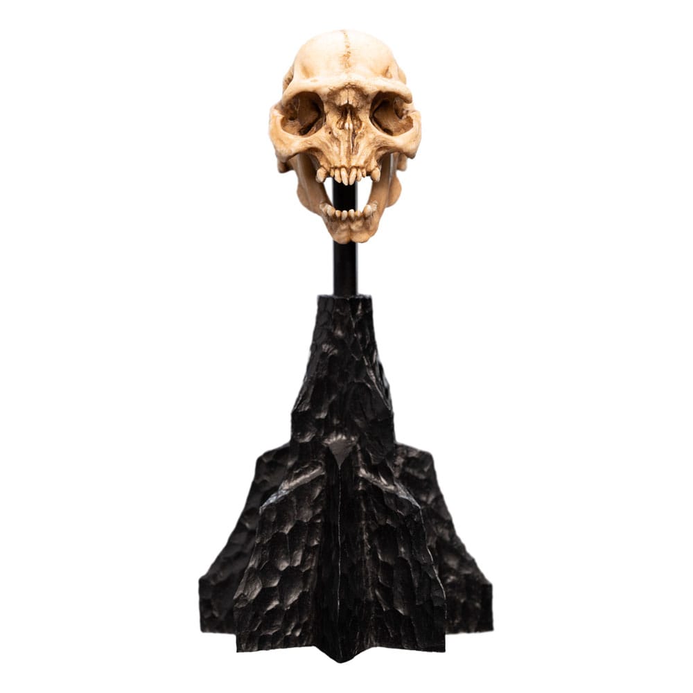 Lord of the Rings Mini Statue Skull of a Moria Orc 13 cm